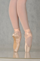 Пуанты Р-Класс BRJd Пуанты Р-Класс BRJd